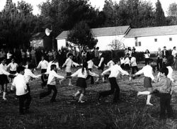 ריקוד הרונדו - עומר 1974