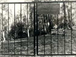 בית הקברות - 1975