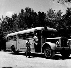 האוטובוס בשנות החמישים
